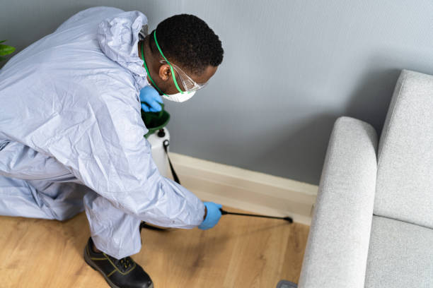 Real Estate Pest Inspections in Deerfield, WI